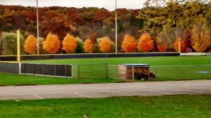 Baseball diamond during fall. Photo by Mike Glass.